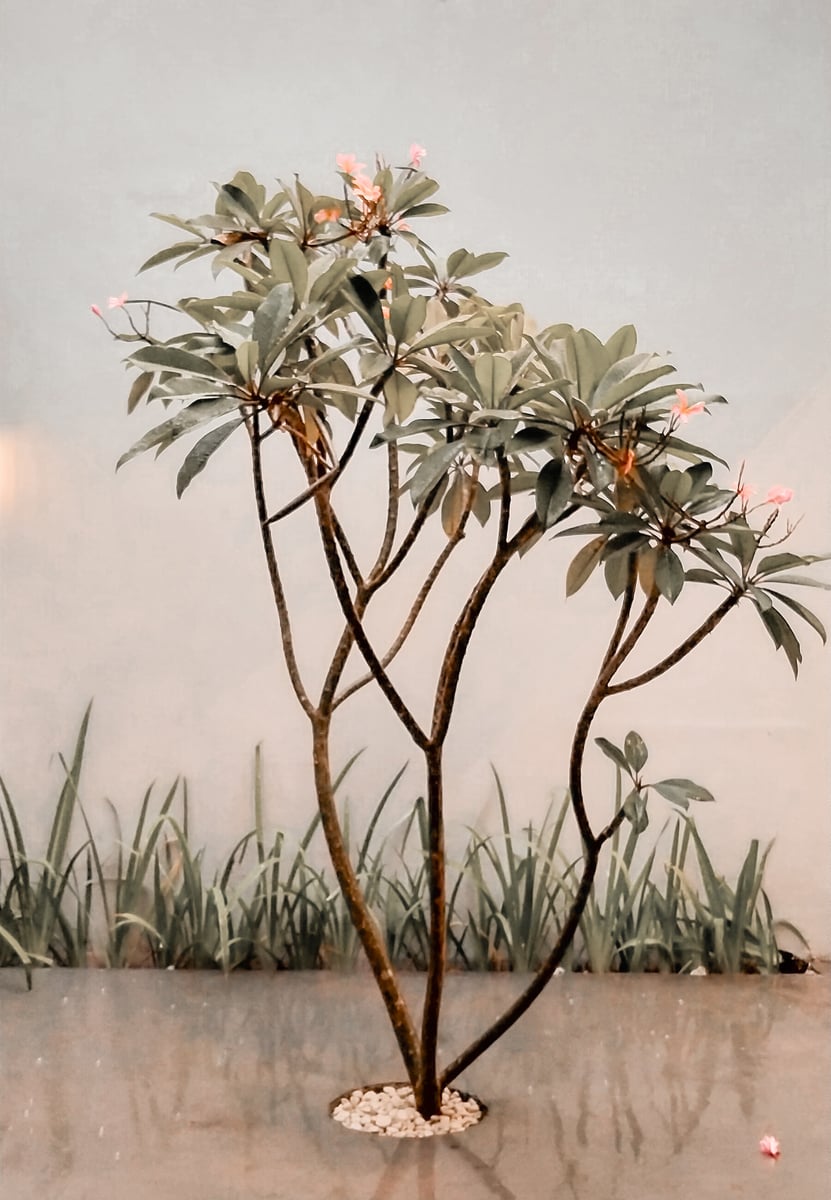 📸 My Gallery, image 7