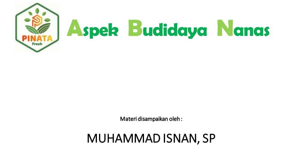 image for Free E-book Budidaya Nanas Skala Perusahaan button