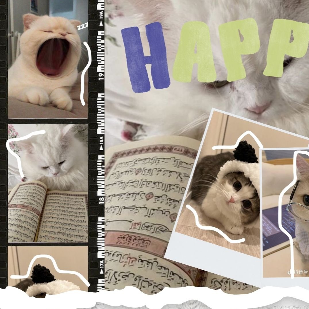 Image 1 for Tema kucing 