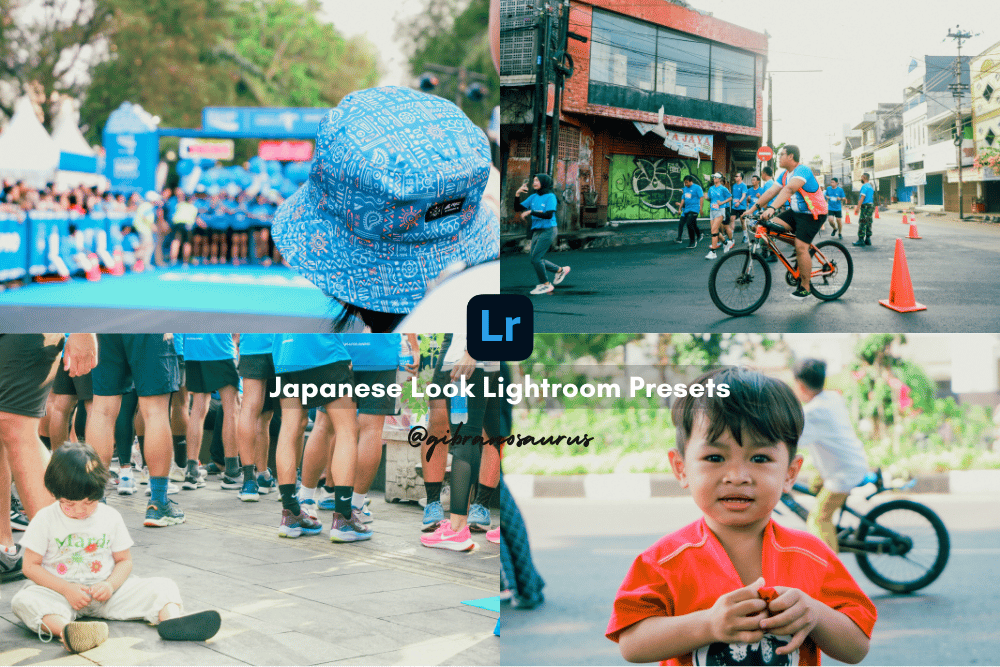 image for [FREE] Japanese Look Lightroom Preset  button