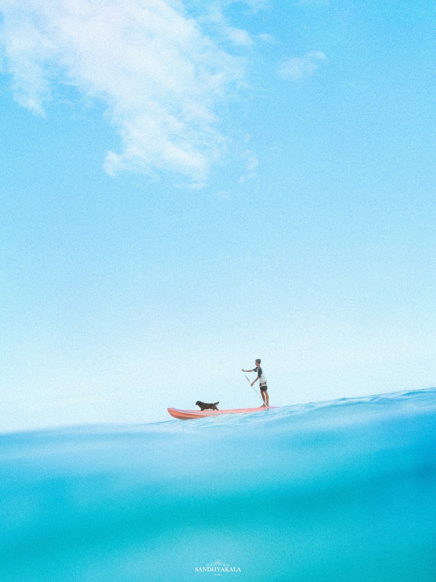 Image for Free Wallpaper