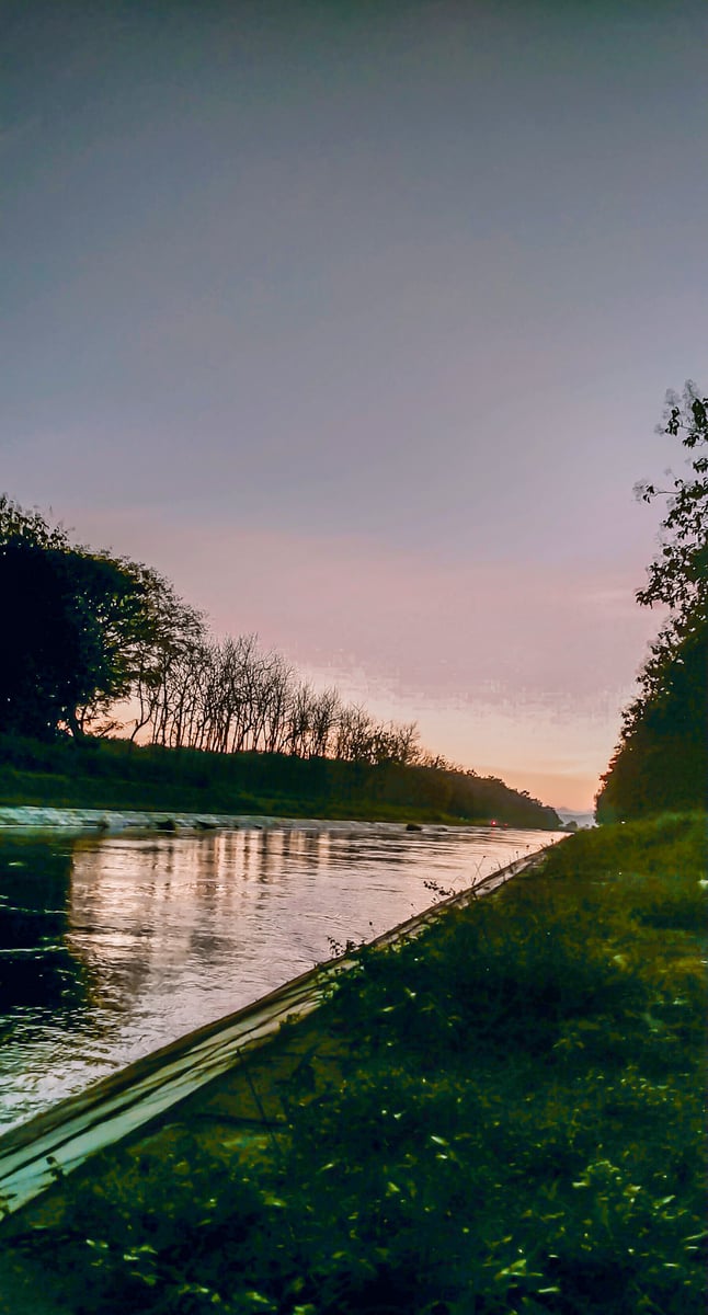 📸 My Gallery, image 6