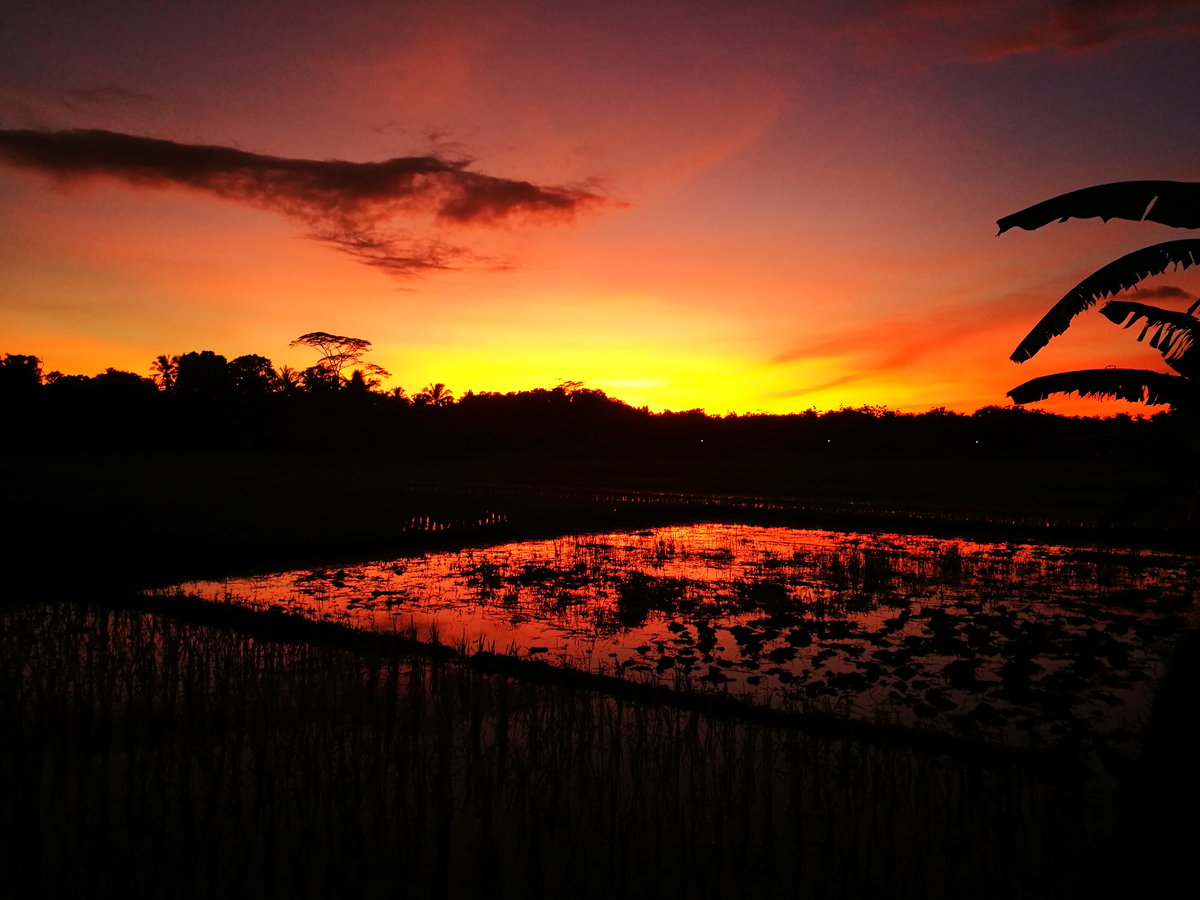 Image for Landscape Example