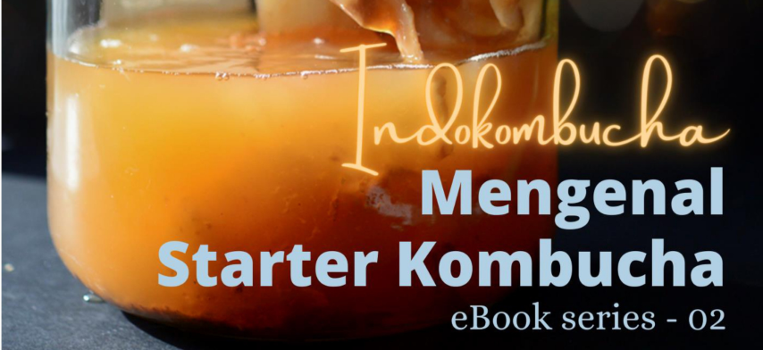 image for 02. Mengenal Starter Kombucha. button