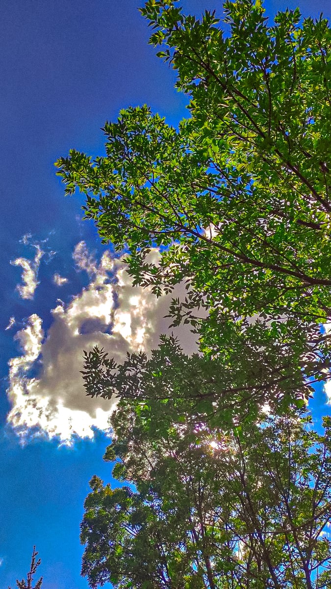 image for 20+ Preset Lightroom  button