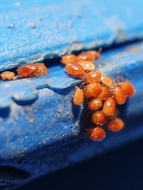 Ketika download, resolusi dan ukuran yang Anda dapatkan akan lebih besar daripada yang ditampilkan.