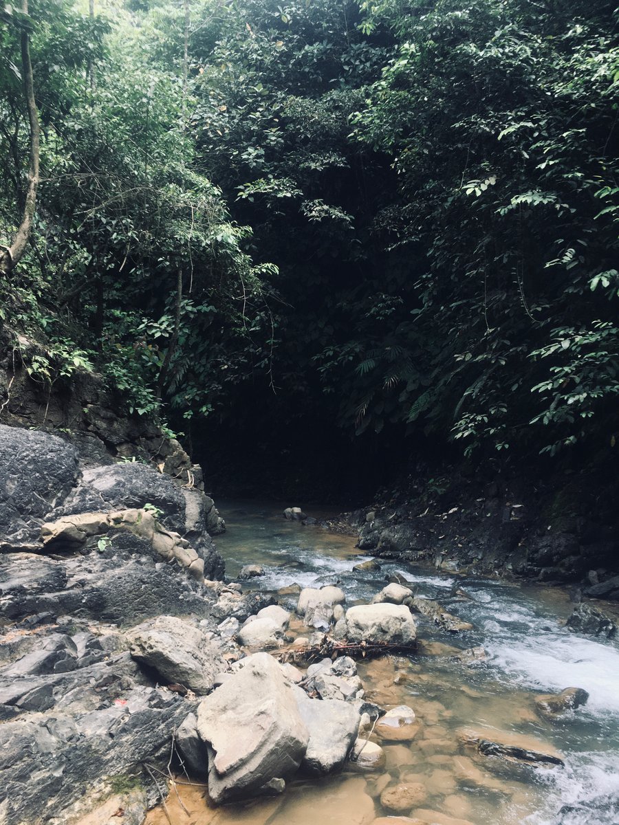 My Favorite Place, image 0