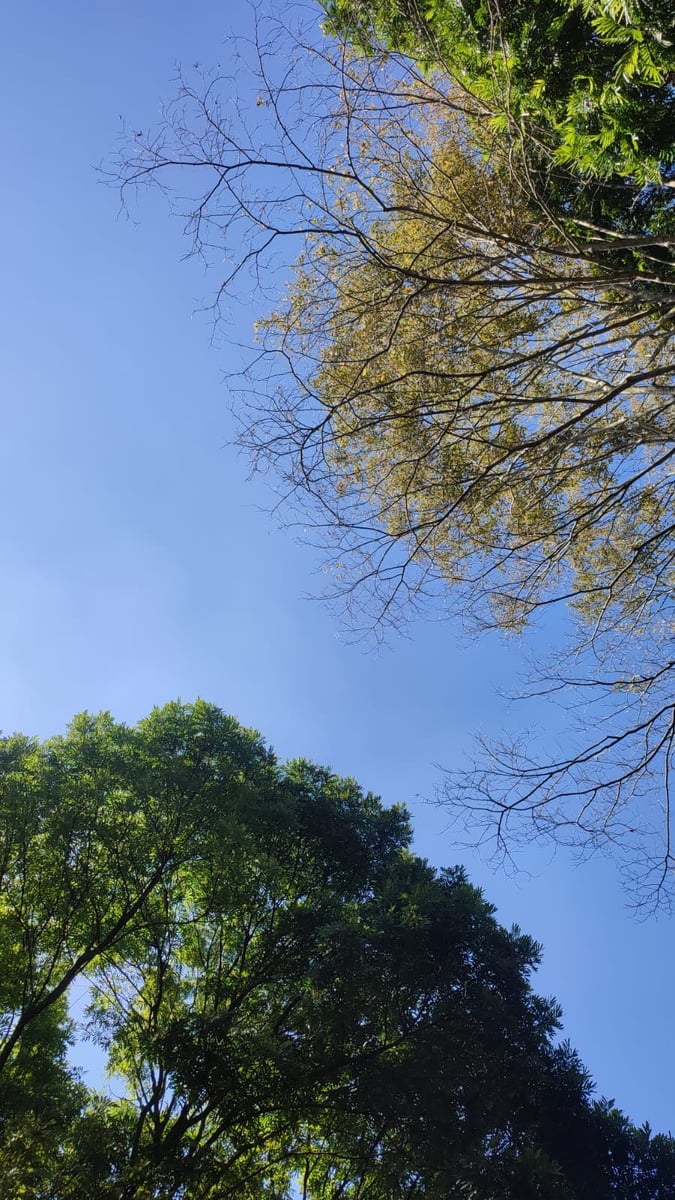 Sky & Nature, image 1