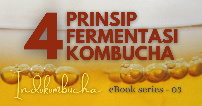 image for 03. Empat Prinsip Fermentasi Kombucha. button