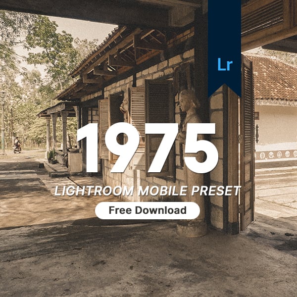 image for Free Preset Lightroom Mobile button