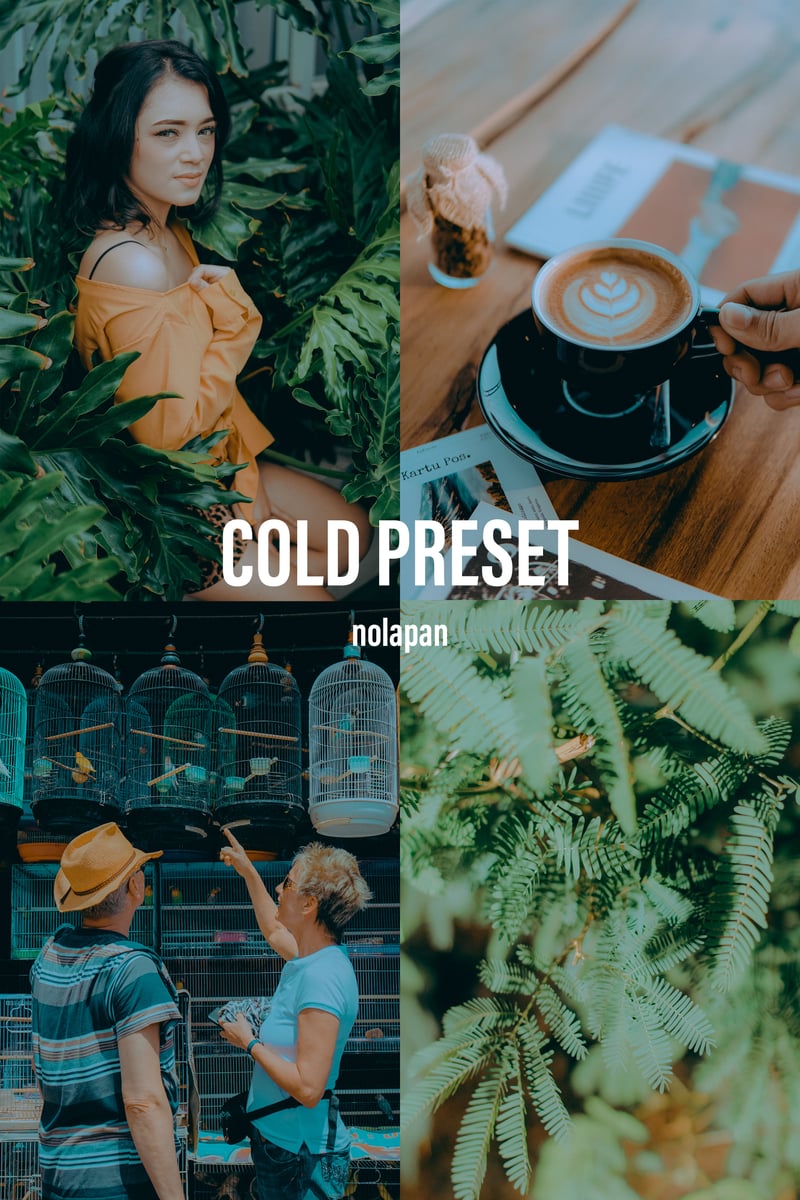 image for Cold Preset button