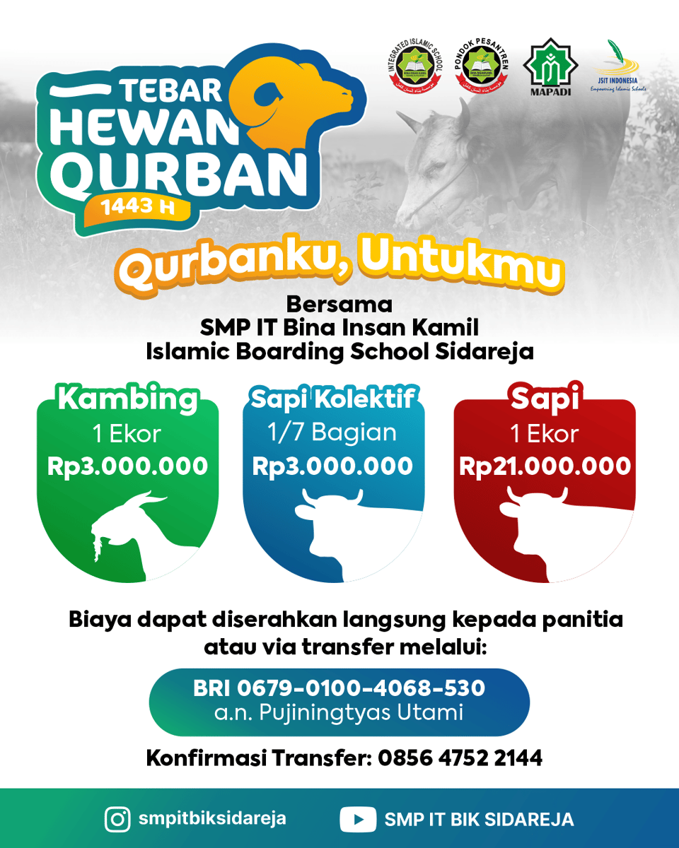 🎨 Design Portfolios, image 5