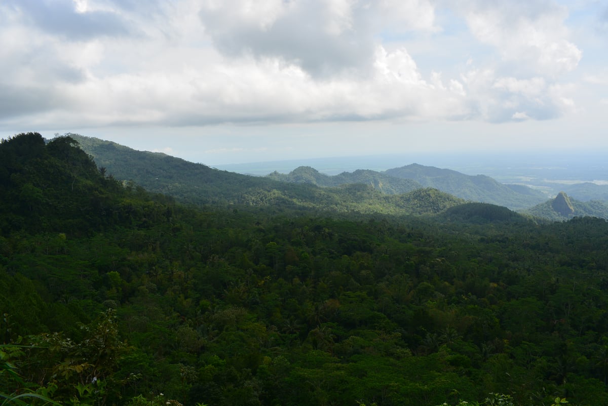 Image for Landscape Example
