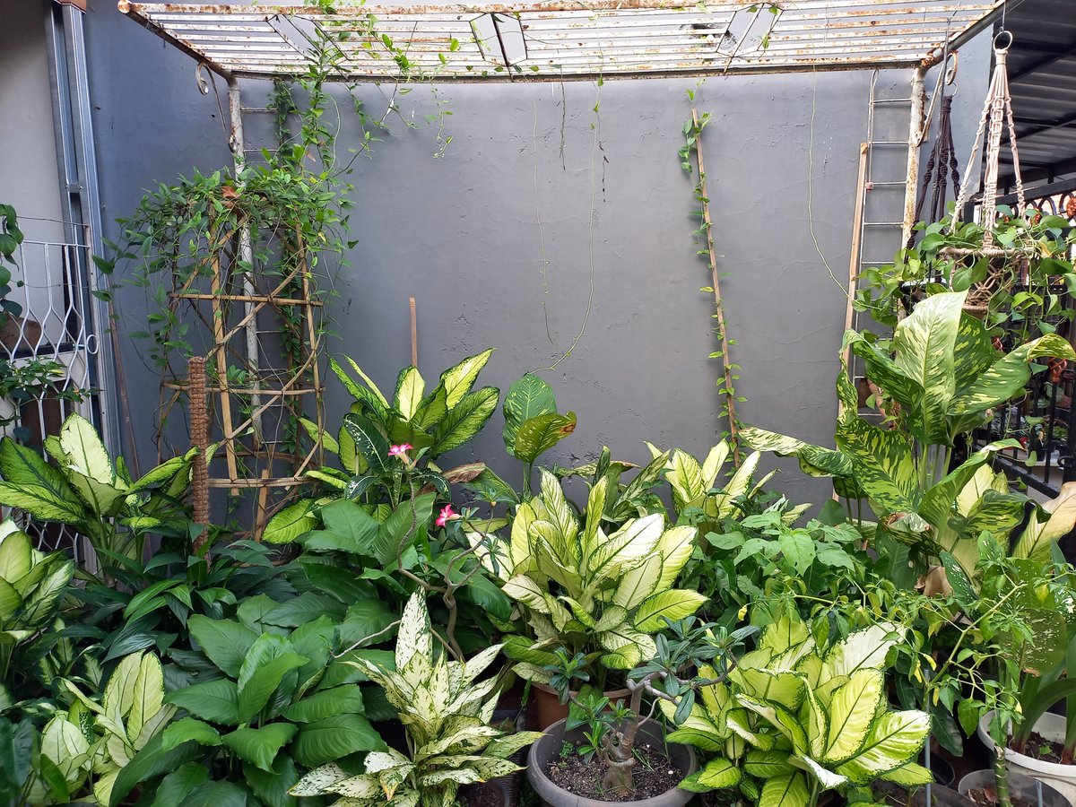 Image for 🖼 Kesibukan Menyenangkan di Rumah 