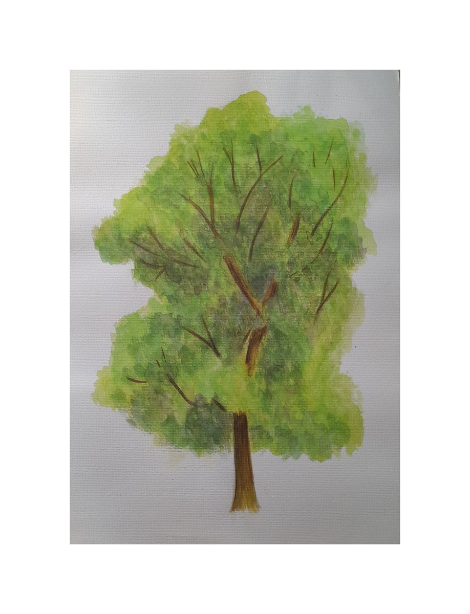 Watercolor & Colored Pencils, image 5