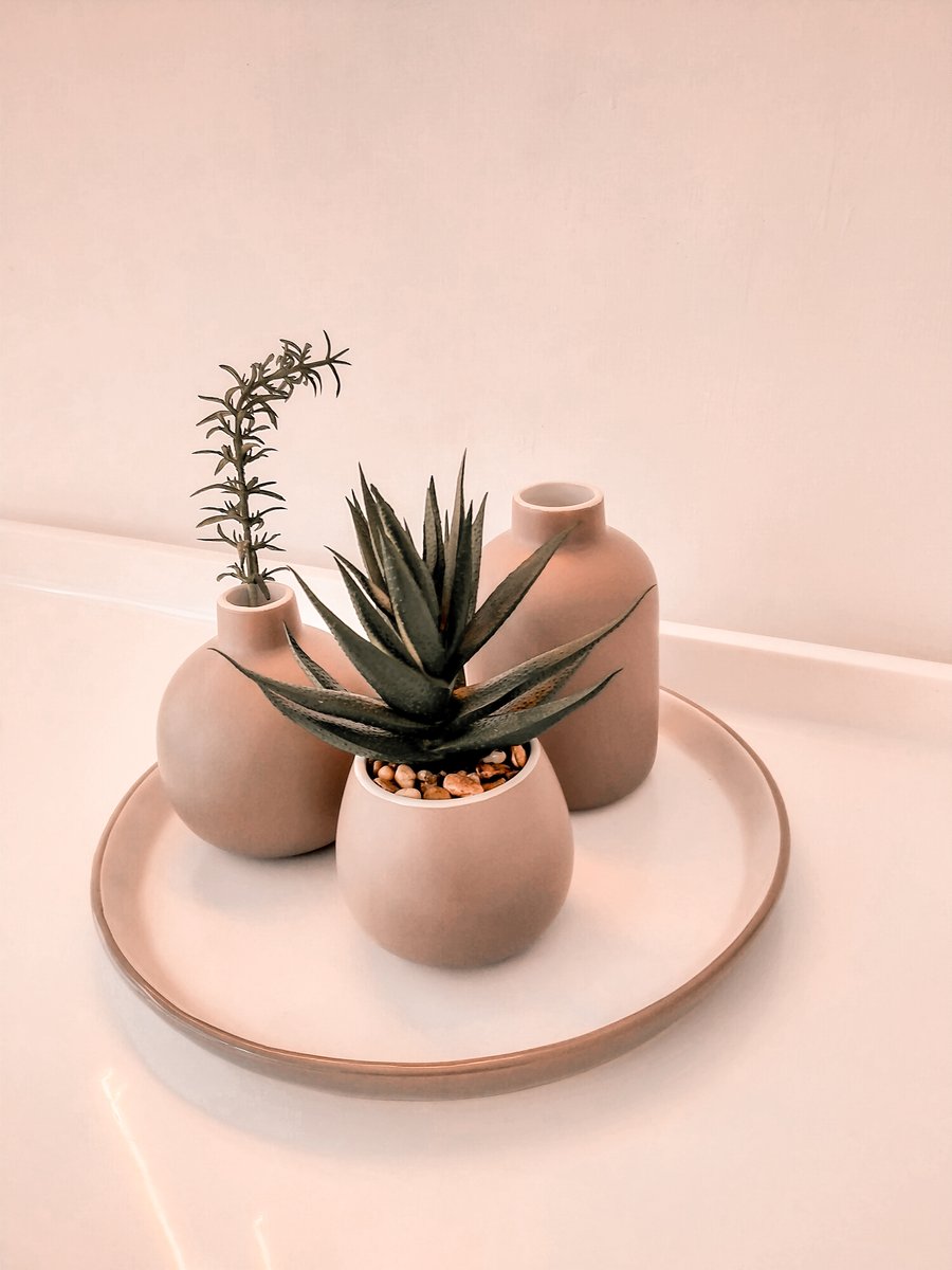 📸 My Gallery, image 4