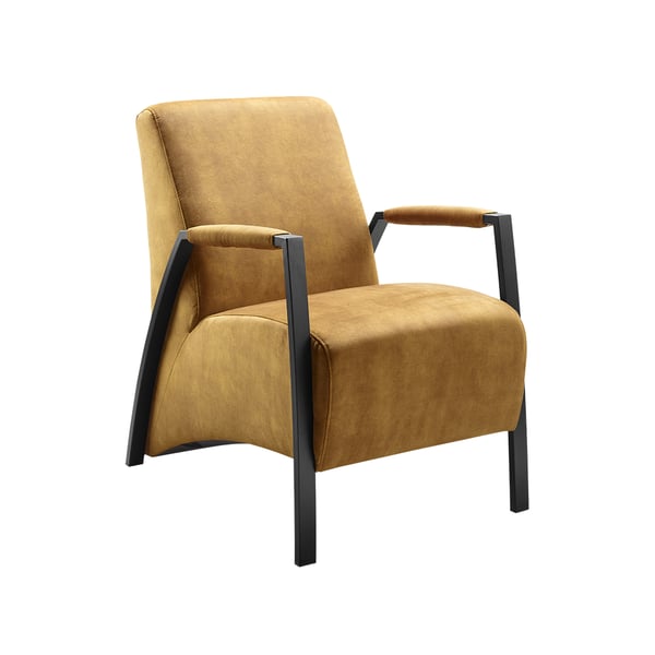 fauteuil grandola deruijtermeubel leer stof inhouse cruquius