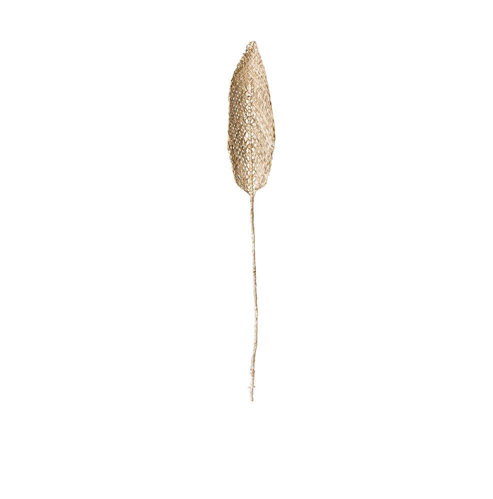 Accessoire Planta de Praia van urban nature culture kleur goud