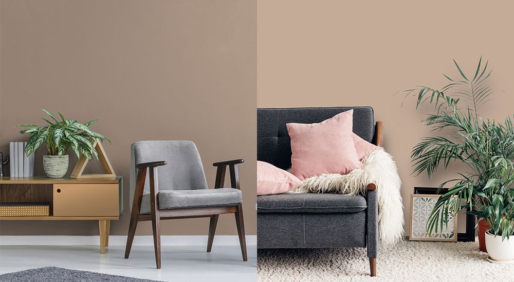 Histor trendkleur 2021 Transcend