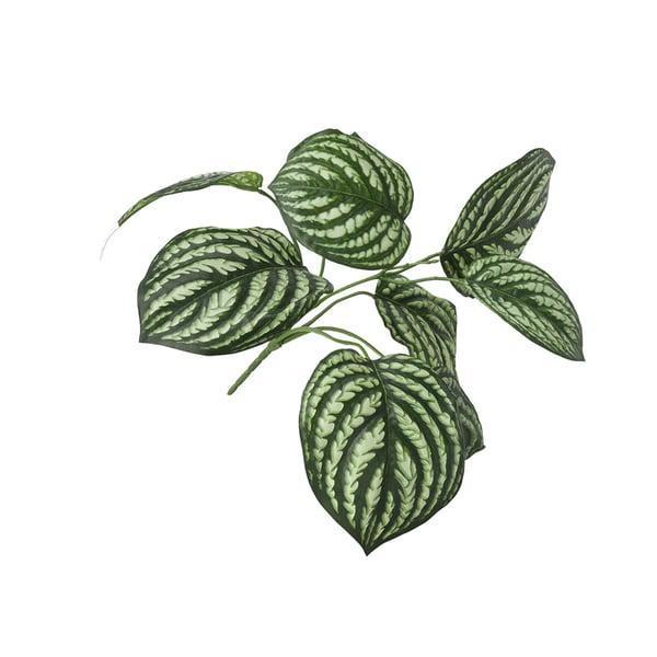 Plant Peperomia Bush takken kunst cocomaison 41750 groen interieur