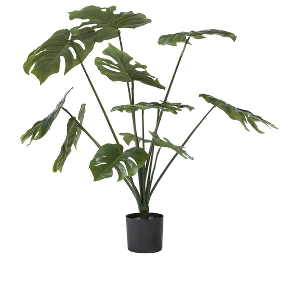 plant Monstera kunstplanten groen interieur CocoMaison planten Cruquius