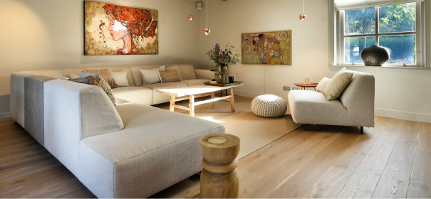 landelijke interieur met bank