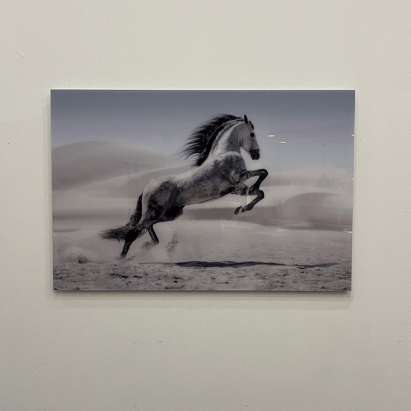 Print White beauty kunst
