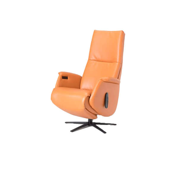 TW280 De toekomst relaxfauteuill sta-op motor