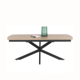Uitschuiftafel Pavalon barnwood