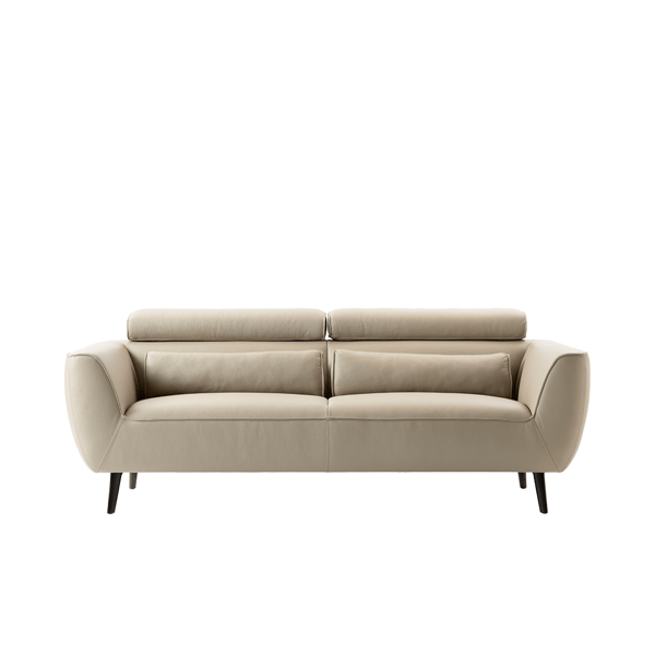 Evidence, leolux, verstelbaar, rug, bank,