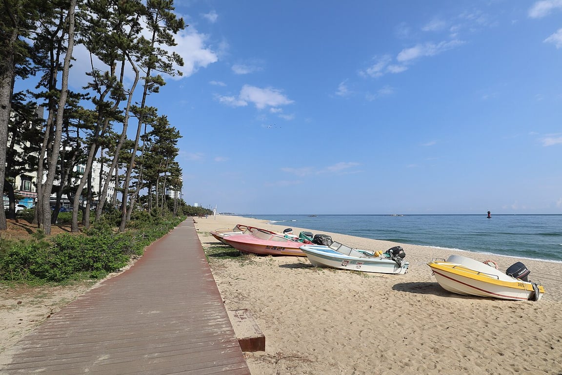 여름의 강릉 경포해변, 넓게 펼쳐진 백사장과 바다