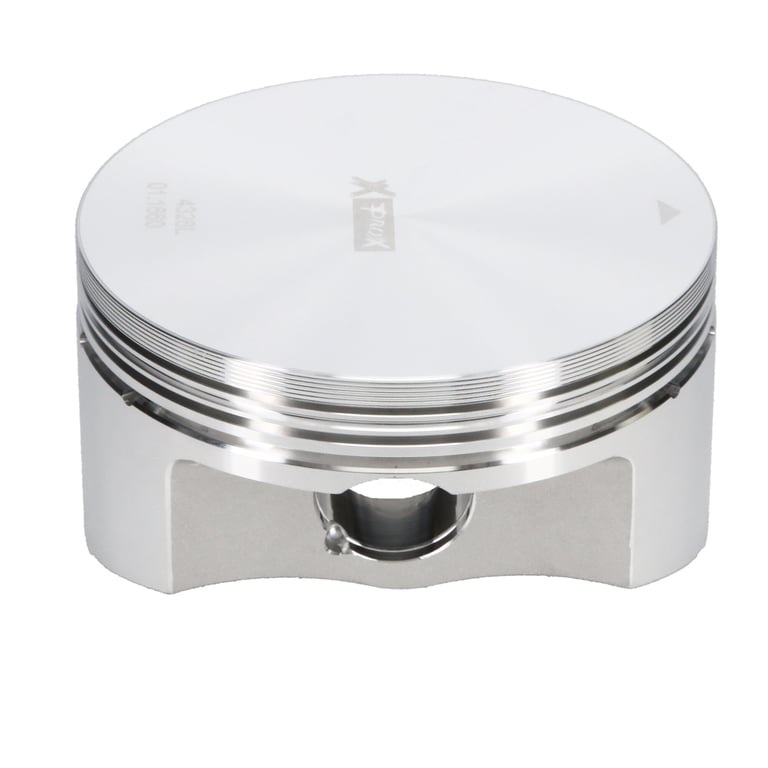 Shop OEM Replacement Piston Kit 101.00 MM (+1.00 MM) XR650L