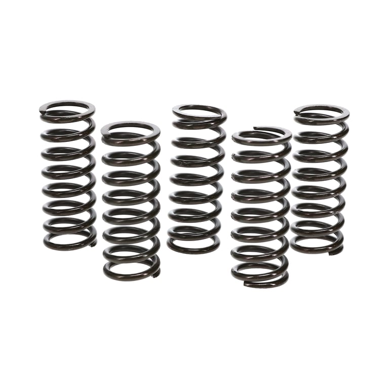 Wiseco Clutch Spring Kit - Honda TRX400EX/X | CSK009 | Wiseco