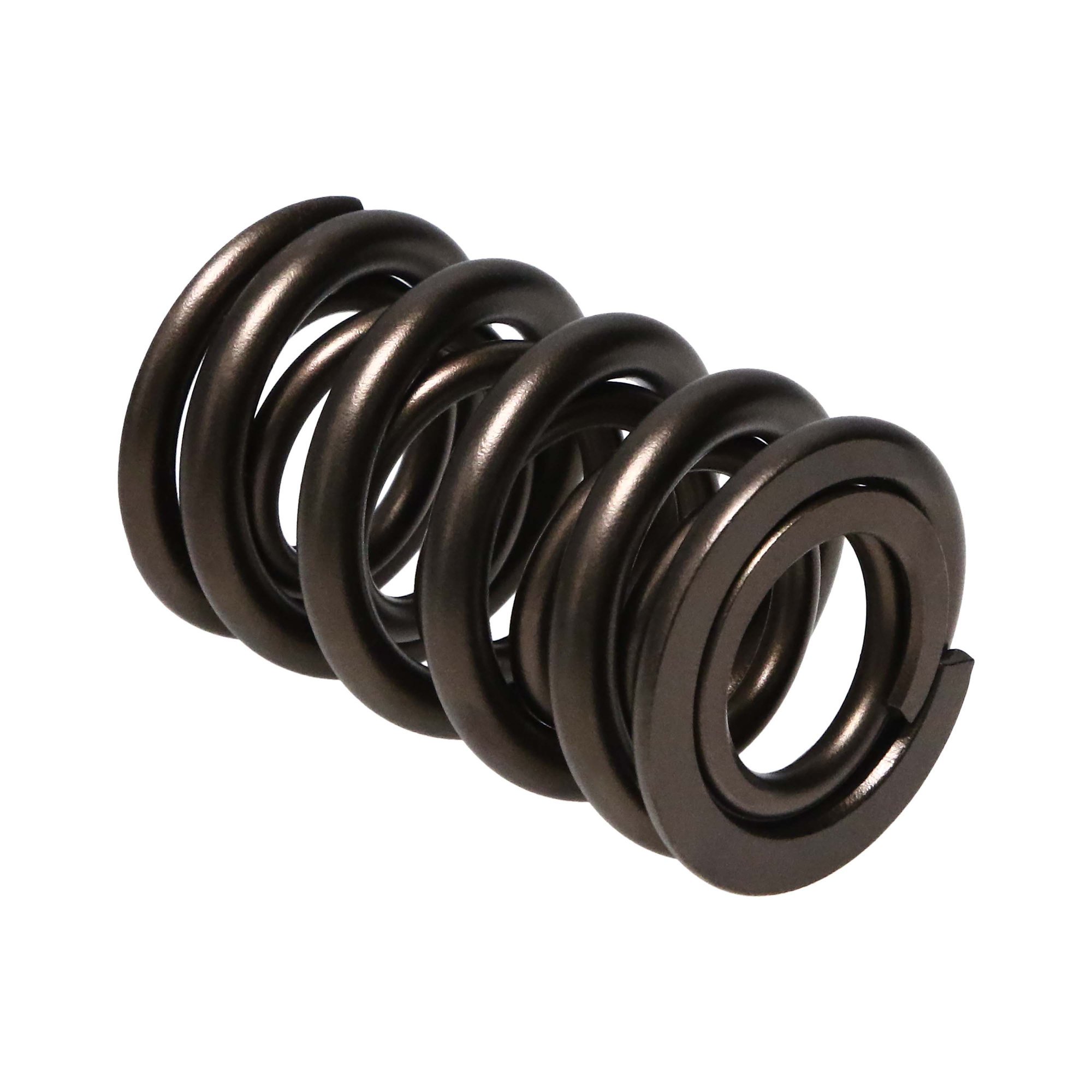Shop High Performance Valve Spring 221443-16 From Manley Today