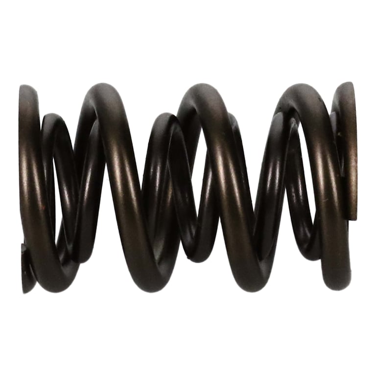 Shop High Performance Valve Spring 221454-1 From Manley Today