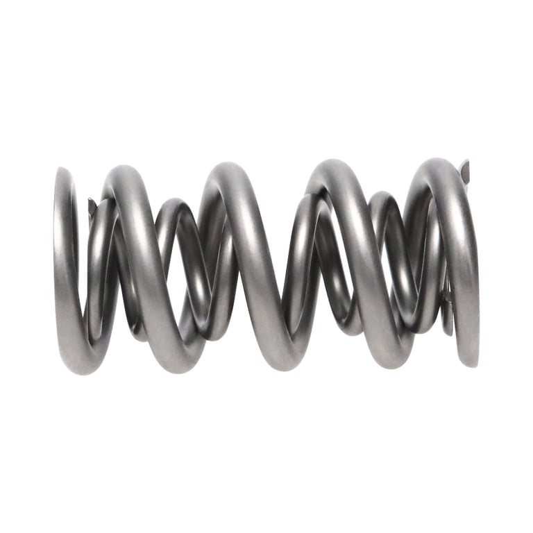 Shop High Performance Valve Spring 221456-16 From Manley Today