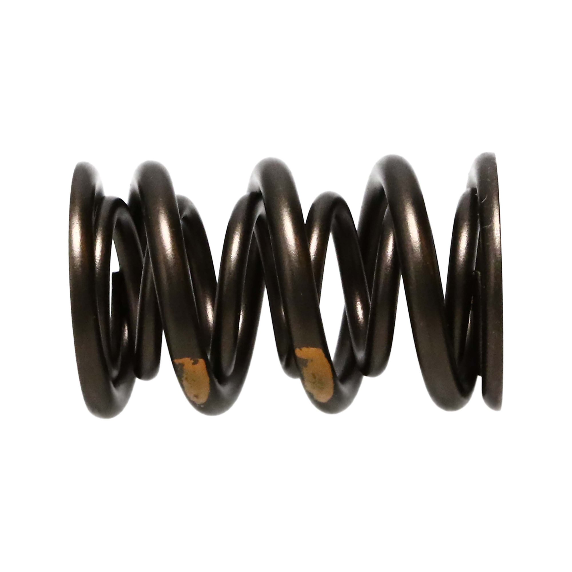 Shop High Performance Valve Spring Kit 261454 From Manley Today