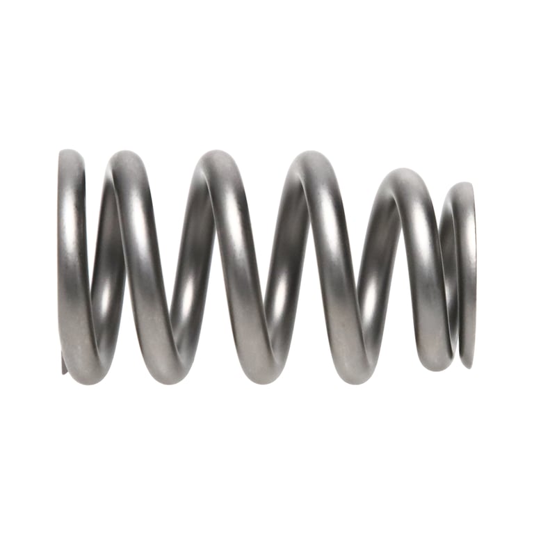 PAC Racing RPM Series Ovate Wire Beehive Valve Spring | PAC-1276X | PAC ...