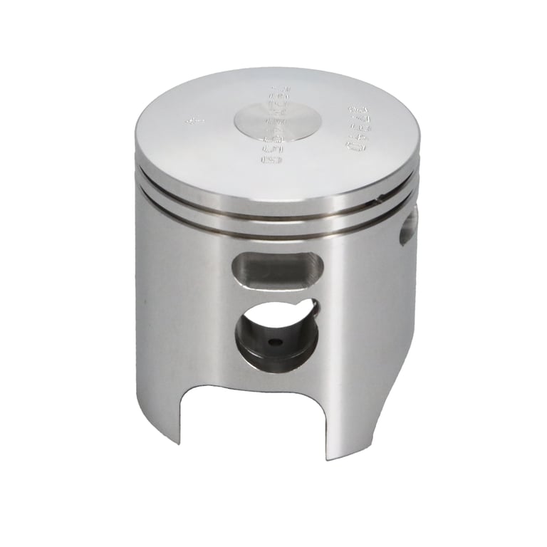 Leonardo サーモン 2kg & 400g SESAME 400W Precision Gear Motor G13V400S-100, 220V, Chip