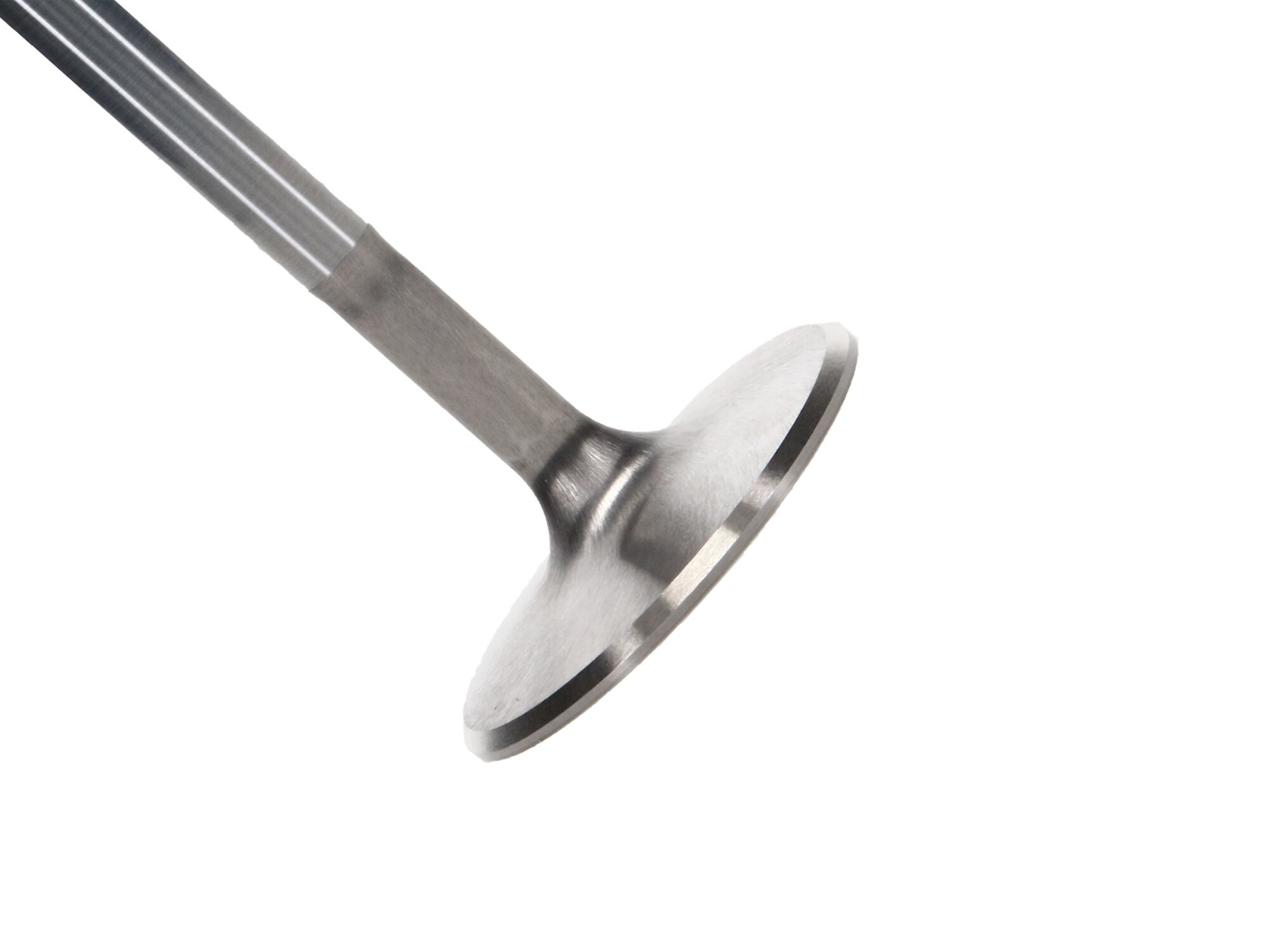 Shop High Performance Chevrolet Small Block Intake Valve Severe