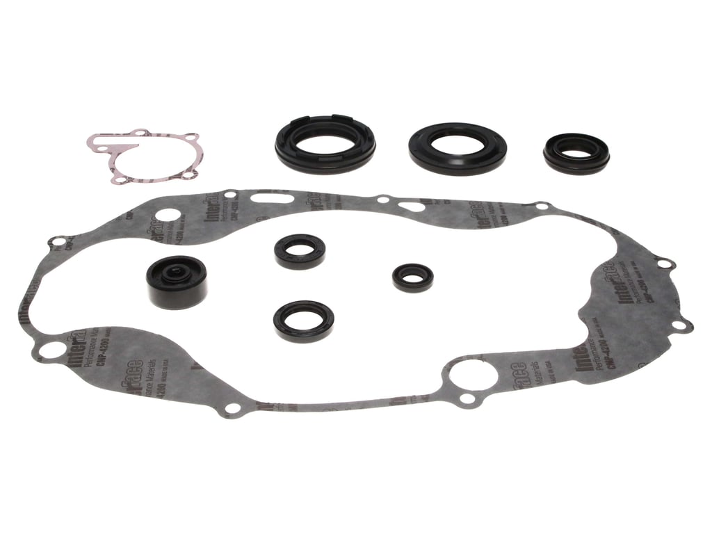 ANARCHY SHIN GASKET すね当て (M/L) ANARCHY SHIN GASKET すね当て (M/L)