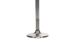 Shop High Performance Chevrolet Small Block Intake Valve Severe