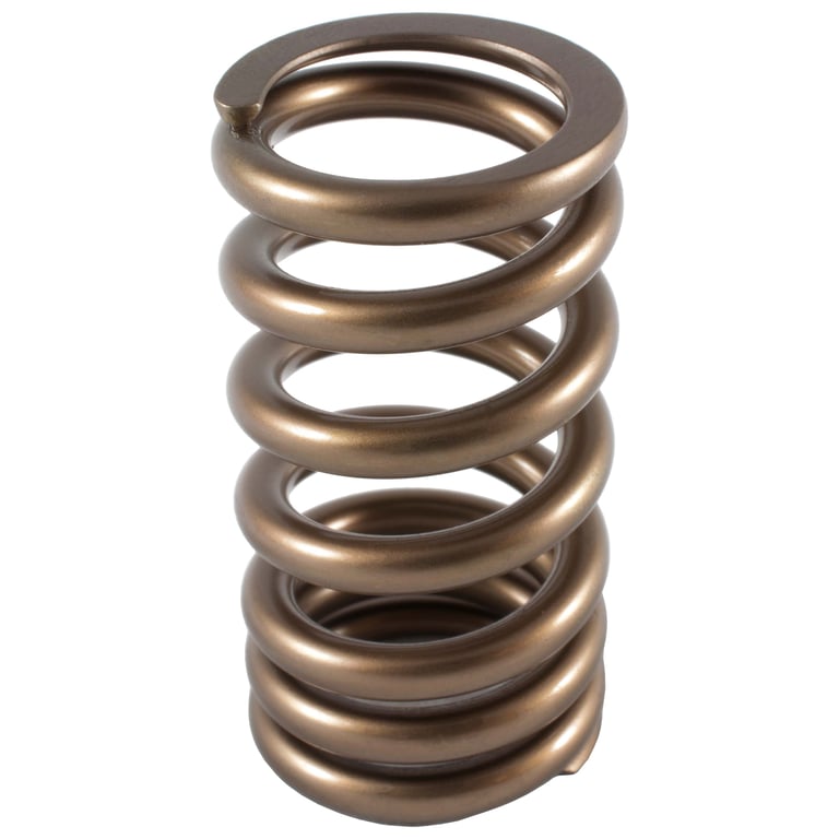 Motorcycle Valve Springs | PAC Racing