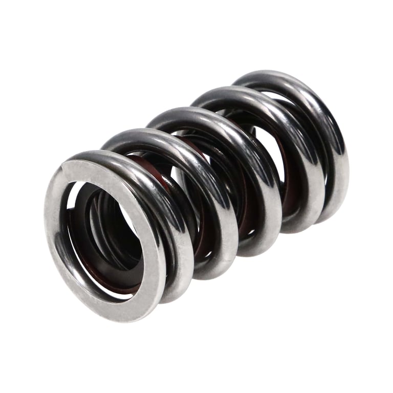 Professional Series Valve Springs | Manleyperformance.com
