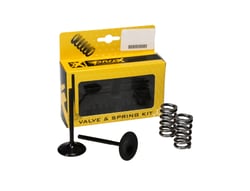 Steel Valve Steel Spring Kits KIT 2000x2000 46