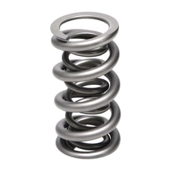 Shop High Performance Valve Spring 221456-16 From Manley Today