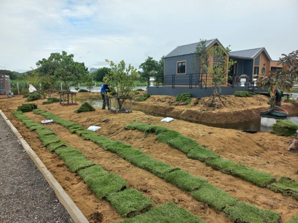 ระหว่างปู