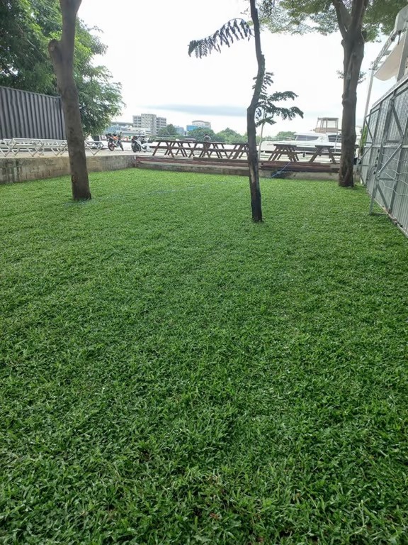 พื้นที่ริมน้ำ