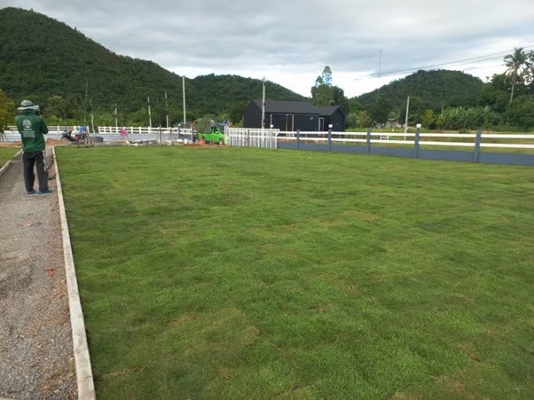 ปูสนามรีสอร์ท