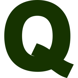 Q Car Insurance Terms